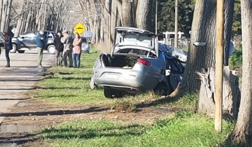 Imagen de Ayacucho: una mujer falleció al chocar contra un árbol en inmediaciones de la Sociedad Rural