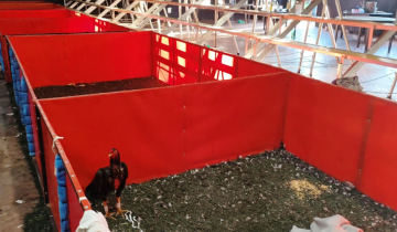 Imagen de La Provincia: desbaratan un organización dedicada a las riñas de gallos, rescatan 111 animales y detienen a 27 personas