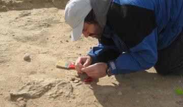 Imagen de Miramar: encuentran el fósil de un vampiro gigante en una madriguera de más de 100 mil años