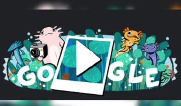 Imagen de Lago de Xochimilco: qué es y por qué Google le dedica el doodle de hoy