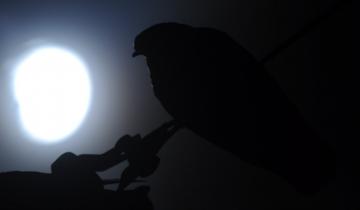 Imagen de Eclipse solar del 14 de diciembre de 2020: dónde y a qué hora se podrá ver