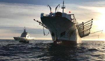 Imagen de Confirman la captura de otro buque chino en el Mar Argentino: llevaba más de 300 toneladas de pescado