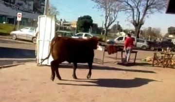 Imagen de Un toro embistió a una mujer en plena calle y la dejó inconsciente