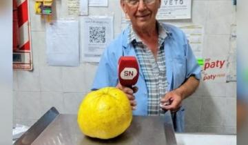 Imagen de Chascomús: un vecino cosechó un limón... ¡del tamaño de un melón!