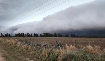 Imagen de El Niño cambia las previsiones para los próximos meses: qué puede pasar con las lluvias en la Provincia