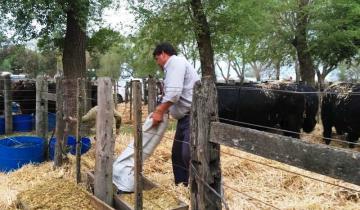 Imagen de Ya está en marcha la Expo Dolores en la Sociedad Rural