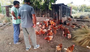 Imagen de General Madariaga se suma a los distritos bonaerenses que registran casos de gripe aviar