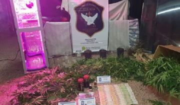 Imagen de Allanamiento en Madariaga: incautaron 31 kilos de marihuana y cocaína