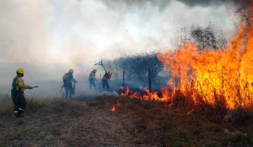 Imagen de Corrientes: abren más de 70 causas por denuncias de incendios rurales intencionales