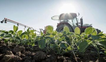 Imagen de Día del Agricultor: por qué se celebra el 8 de septiembre en Argentina