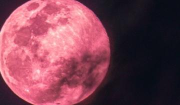 Imagen de Se viene el eclipse de “Luna de Fresa”: cuándo podrá verse en Argentina