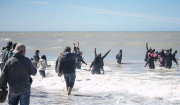 Imagen de Video: mirá el trabajo de los rescatistas para liberar a las orcas varadas