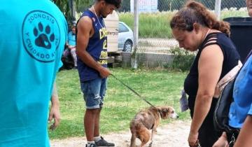 Imagen de Partido de La Costa: rescatan a 15 perros hacinados tras un allanamiento por maltrato animal