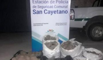 Imagen de San Cayetano: empleados municipales robaron dos toneladas de papa a la comuna