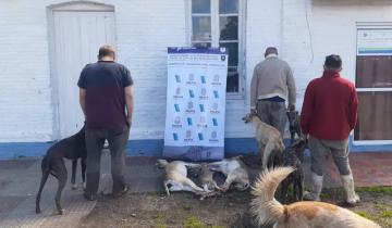 Imagen de Chascomús: denuncian caza furtiva de fauna autóctona y carreras de galgos en la zona rural