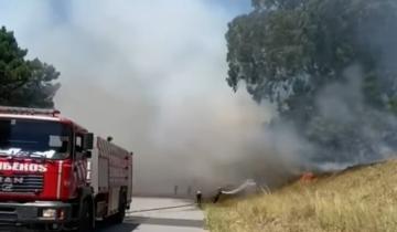 Imagen de Partido de La Costa: un incendio de pastizales avanzó hacia la subcomisaría de Nueva Atlantis y destruyó varios autos secuestrados