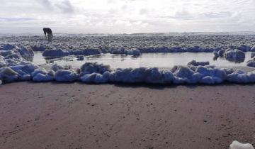 Imagen de Mar del Plata: por qué las playas aparecieron con abundante espuma marina