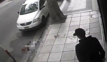 Imagen de Locura en Mar del Plata: mataron a un caniche tras arrojarlo desde un 5º piso de un edificio céntrico