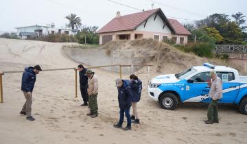 Imagen de Villa Gesell: culminó la búsqueda del puma visto en la ciudad, cuáles fueron las conclusiones