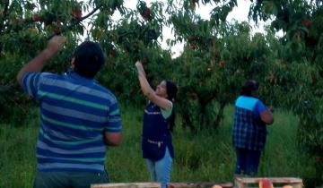 Imagen de Por un desperfecto eléctrico la Escuela Agraria de Dolores puede perder la cosecha