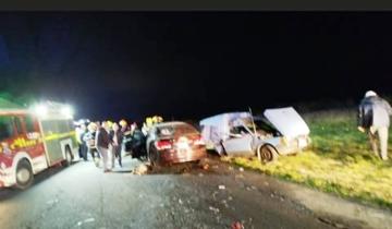 Imagen de Ruta 11: cinco galgos se escaparon de una camioneta y causaron un triple choque con heridos