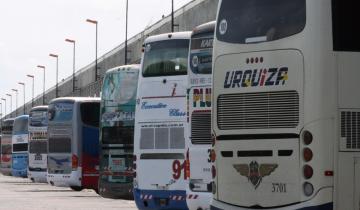 Imagen de Fin de semana largo: micros y trenes de larga distancia viajarán con plena ocupación de asientos