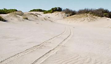 Imagen de Murió un motociclista tras un accidente en el límite entre Villa Gesell y Pinamar