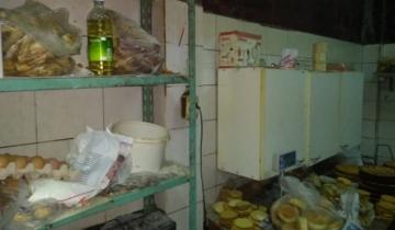 Imagen de Clausuran panadería en Mar del Plata: estaban colgados de la luz y había ratas