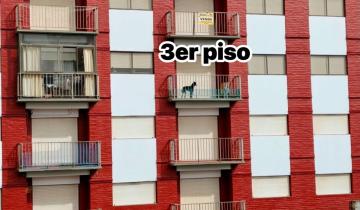 Imagen de Partido de La Costa: denuncian el abandono de un perro en el balcón de un edificio de San Clemente