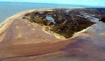 Imagen de Encuentran restos óseos en un campo de San Clemente cercano a Punta Rasa