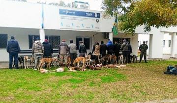 Imagen de Chascomús: detienen a un grupo de hombres que había cazado 8 antílopes y 1 liebre