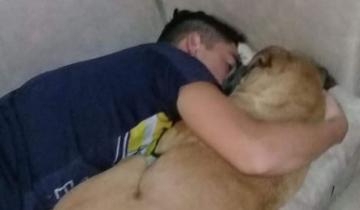 Imagen de La historia de la perra que, abrazada a su dueño, murió a raíz de la pirotecnia