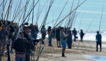 Imagen de Pinamar: así será el cronograma de actividades de la Fiesta de la Pescadilla 2025