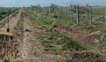 Imagen de Se encuentra cerrado el terraplén sur del Canal 15