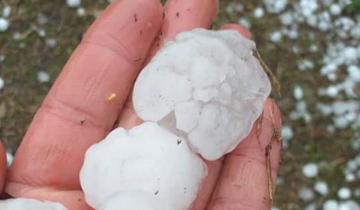 Imagen de Video: mirá la fuerte granizada que azotó a los vecinos de Mechongué