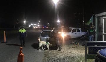 Imagen de Un hombre con pedido de captura fue detenido en un control de tránsito en General Lavalle