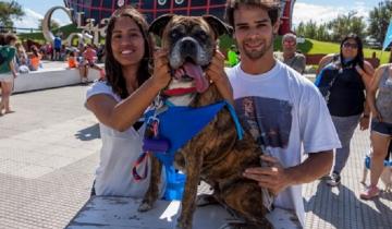 Imagen de Anotá a tu mascota: una nueva edición de la Caninatón llega a Santa Teresita