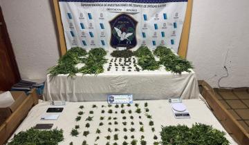 Imagen de Las Toninas: desarticulan una red familiar de narcomenudeo y secuestran más de 50 kilos de marihuana