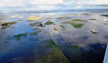 Imagen de Dolores: declararon emergencia y/o desastre agropecuario individual para los campos afectados por las inundaciones de 2021