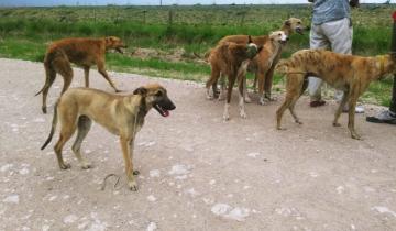 Imagen de Chascomús: productores rurales denuncian invasión de galgueros y reclaman más seguridad