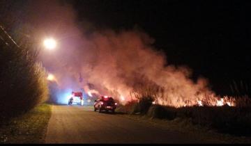 Imagen de Incendios forestales en Villa Gesell: los bomberos advirtieron que habrían sido intencionales