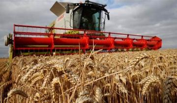Imagen de En un nuevo récord histórico, la agroindustria liquidó US$ 2.441 millones en septiembre