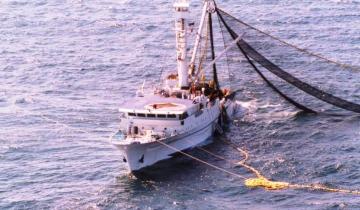 Imagen de Presentaron un amparo para prohibir la pesca de arrastre en la Costa Atlántica