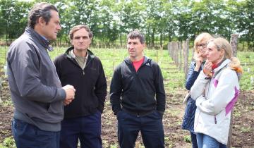 Imagen de Avanza a paso firme el proyecto del vino dolorense