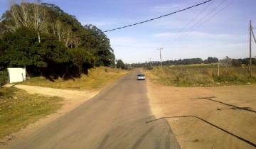 Imagen de La Provincia: anunciaron obras para el camino viejo de Mar del Plata a Miramar