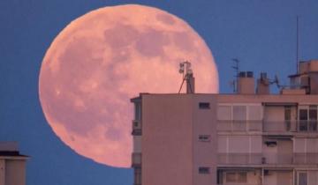 Imagen de Qué es la Superluna rosa de abril, el regalo del cielo para ver este martes en cuarentena