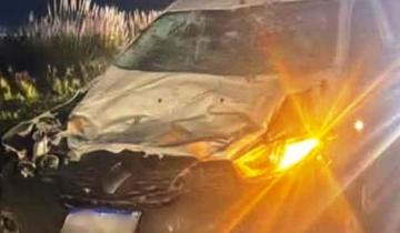 Imagen de Ruta 11: en menos de una semana, dos accidentes por caballos sueltos en La Costa