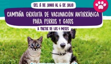 Imagen de La Costa: cuáles son las veterinarias adheridas a la campaña de vacunación antirrábica gratuita