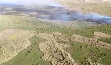 Imagen de Villa Gesell: incendio forestal en la reserva natural Faro Querandí