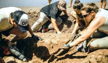 Imagen de Mar del Plata: una familia encontró en la playa los restos de 2 gliptodontes de 3 millones de años